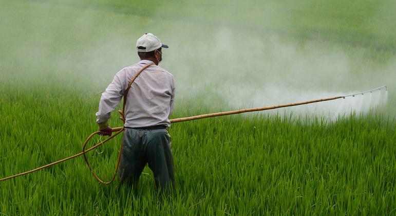 México ha prohibido glifosato y 35 sustancias recientemente, pero carece de una ley general que regule los plaguicidas altamente peligrosos. En la Península de Yucatán, el uso de estos productos ha provocado la muerte masiva de abejas y la contaminación del agua de pozos tradicionales.